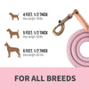 Mile High Life | Chew Proof Dog Leash | Dog Rope Leash | Reflective Dog Leashes | Climbing Rope Dog 4/5/6FT Leash w Leather Tip