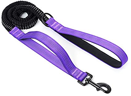 Mile High Life | 4Feet- 7Feet Dog Bungee Walking Leash w Control Handle | Reflective Gentle Pull Training Lead | Soft Padding w Dog Poop Bag Holder Ring (Purple)