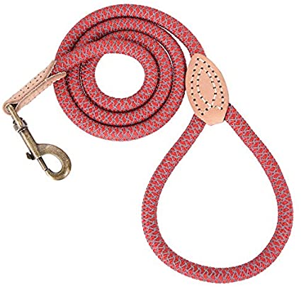 Mile High Life | Chew Proof Dog Leash | Dog Rope Leash | Reflective Dog Leashes | Climbing Rope Dog 4/5/6FT Leash w Leather Tip