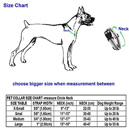 Mile High Life | Seasonal Floral Celebration Collection | Soft Poly Cotton Fabric | Girl Dog Collars | Bandana Collar