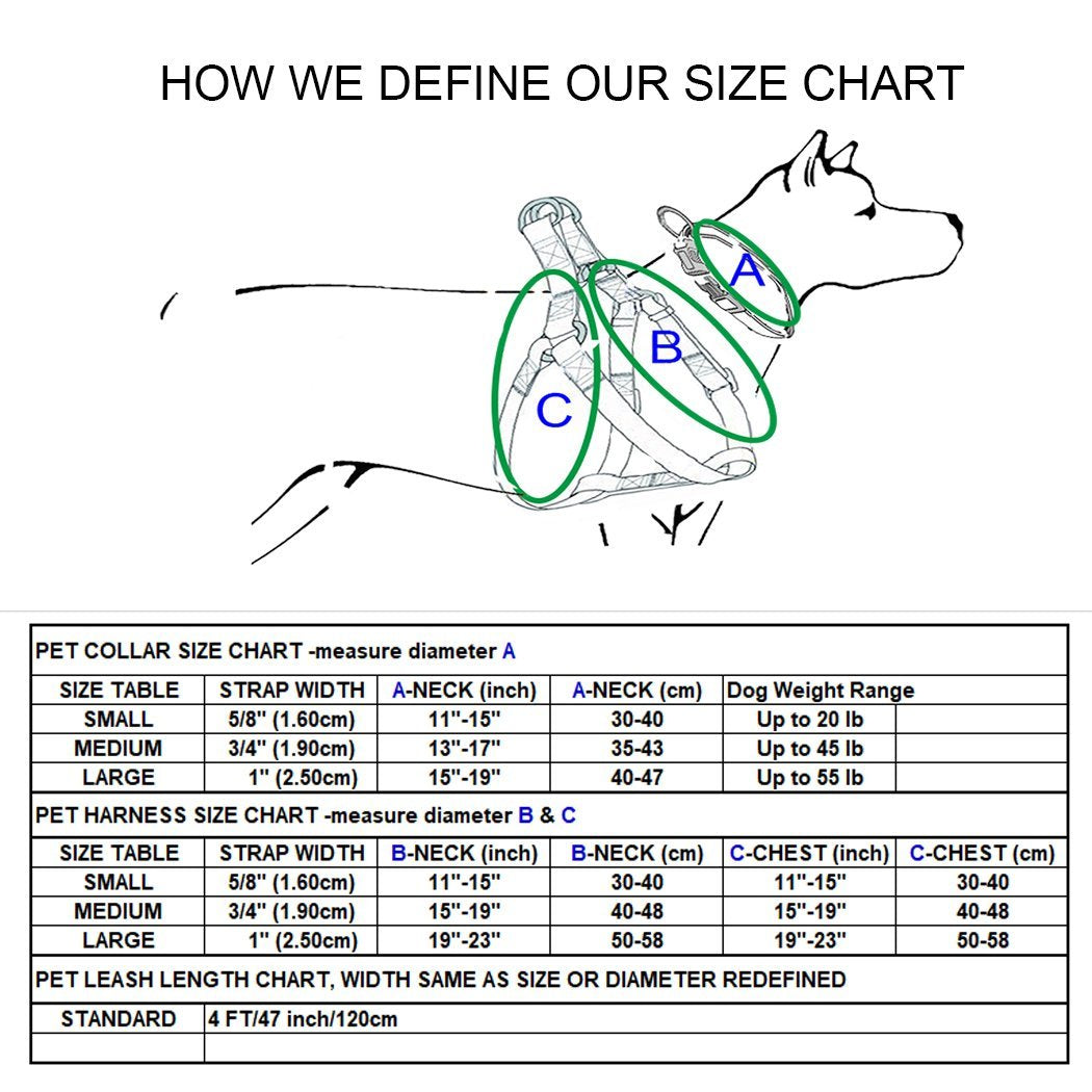 Double Band Dog Collar